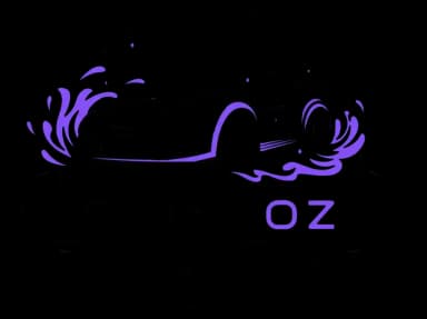 Shineoz logo